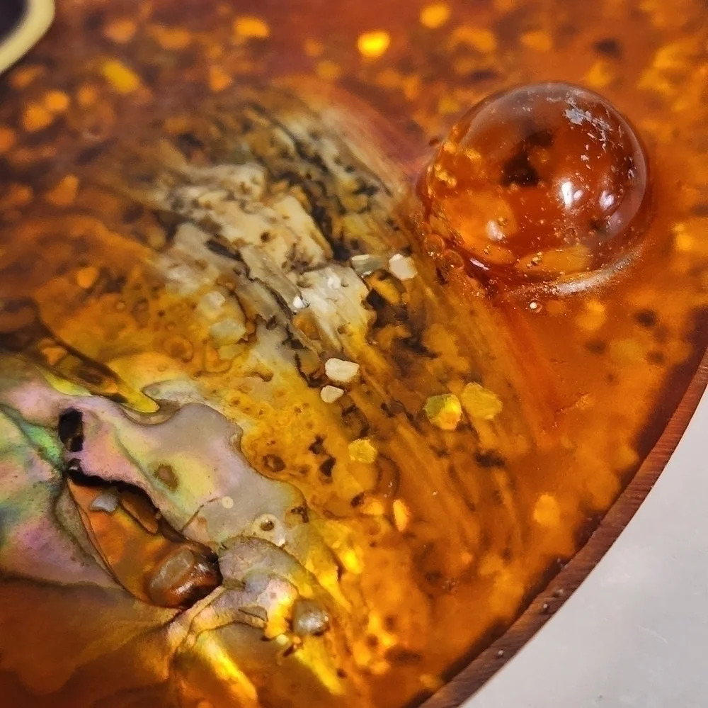 VINTAGE Orange Lucite Trivet Abalone Shell Hot Plate Pacific Ocean Shells 6.5